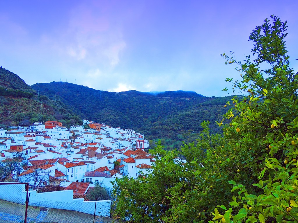 Foto: BENARRABÁ (MÁLAGA) - Benarraba (Málaga), España
