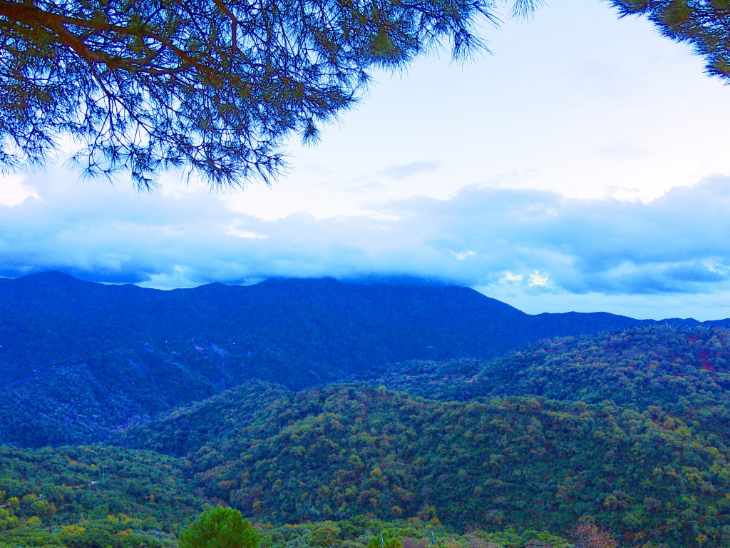 Foto: Entorno - Benarraba (Málaga), España
