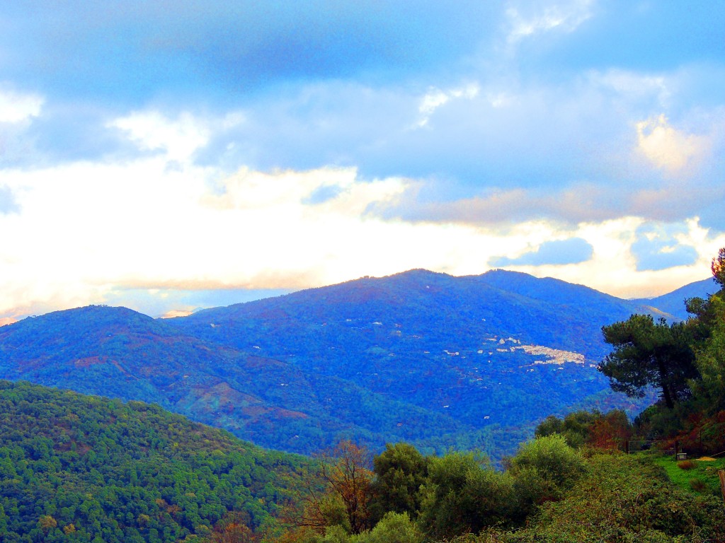 Foto: Vistas - Benarraba (Málaga), España