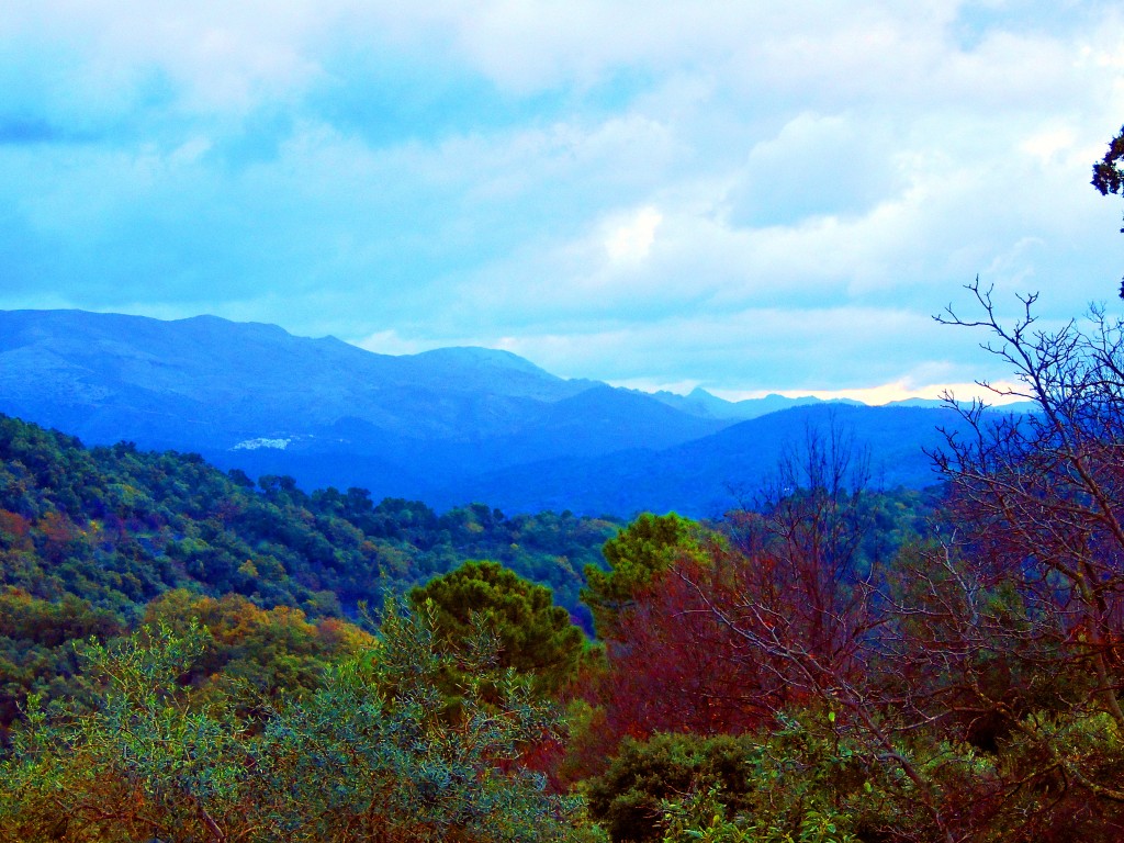 Foto: Vistas - Benarraba (Málaga), España