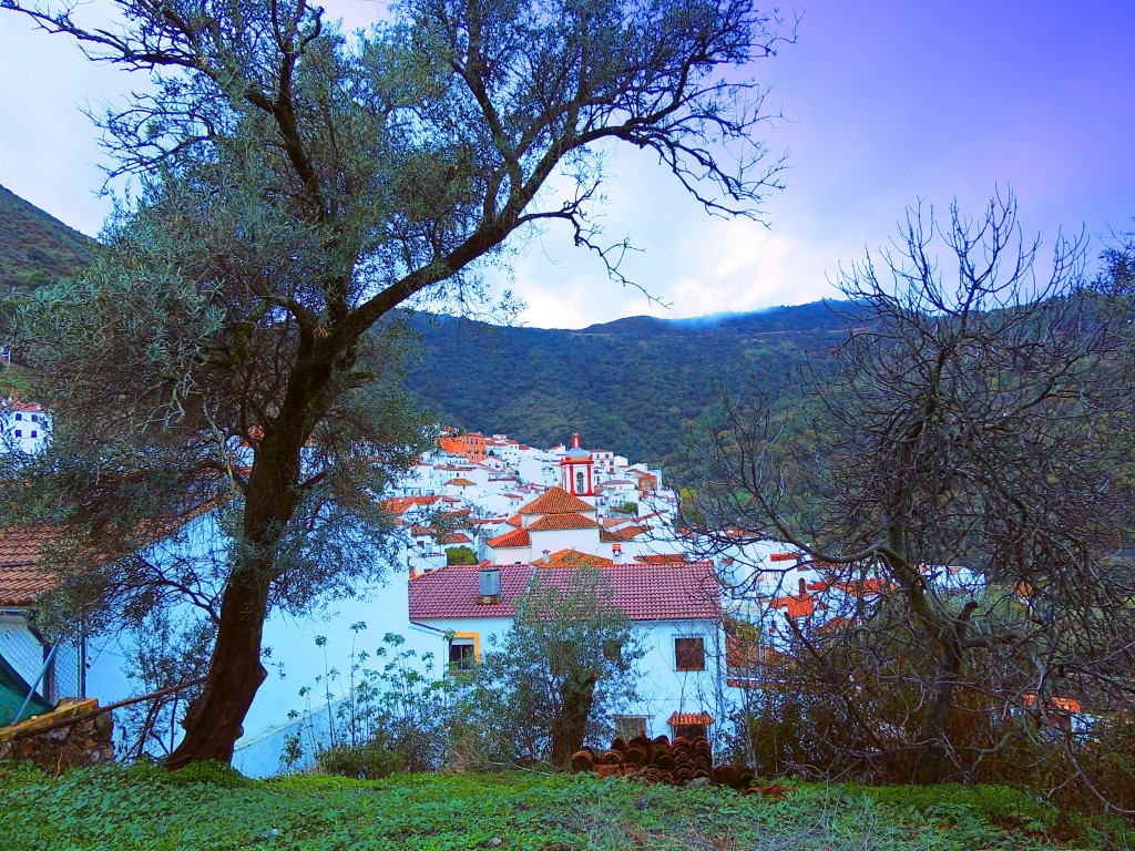 Foto: Vistas - Benarraba (Málaga), España