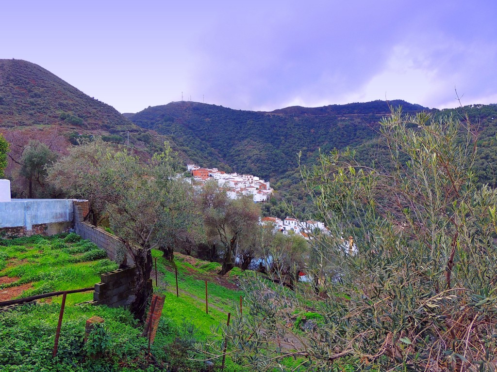Foto: Panorámica - Benarraba (Málaga), España
