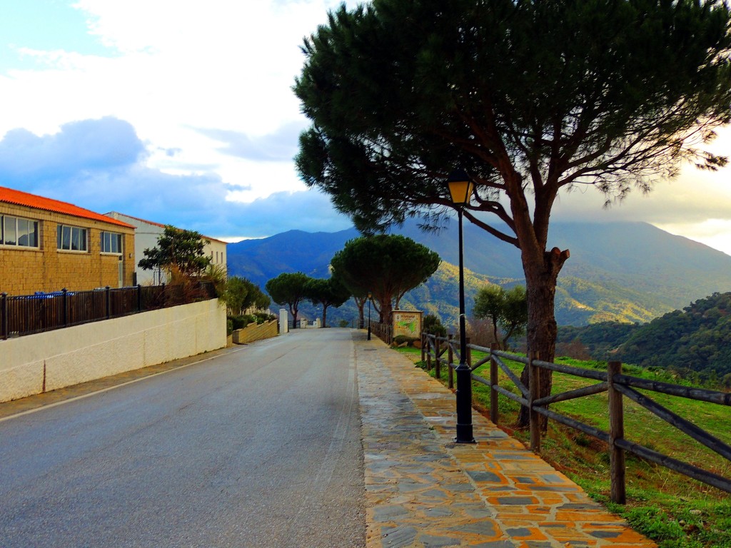 Foto: Avenida - Benarraba (Málaga), España
