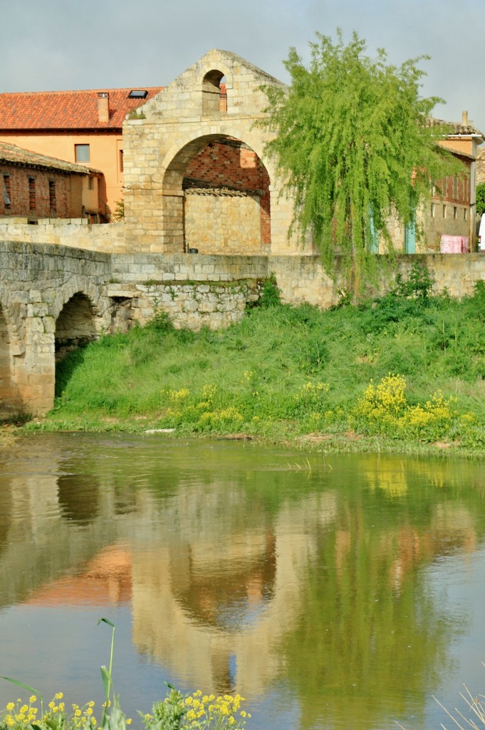 Foto: Rio Odra - Villasandino (Burgos), España