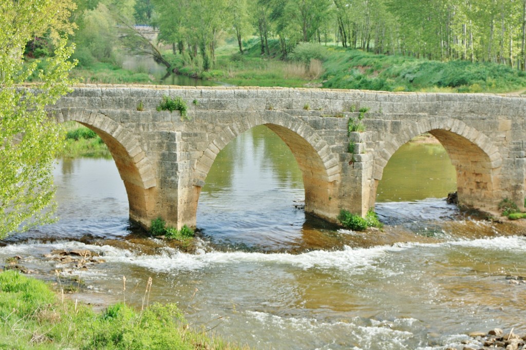Foto: Puente sobre el rio Odra - Villasandino (Burgos), España