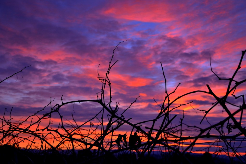 Foto: Amanecer - Torrelles de Foix (Barcelona), España