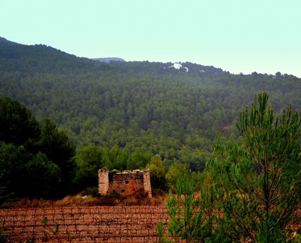 Foto: Dia de lluvia - Torrelles de Foix (Barcelona), España