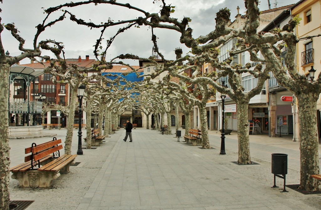 Foto: Centro histórico - Briviesca (Burgos), España