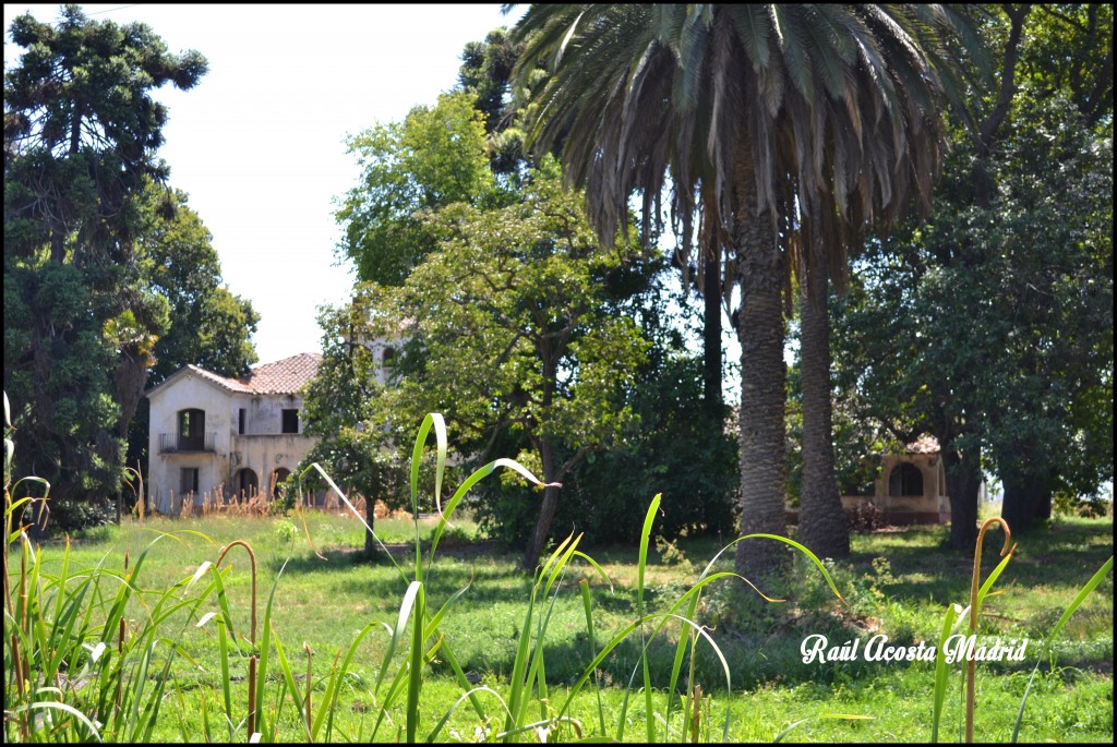 Foto de Quinta de Tilcoco (Libertador General Bernardo OʼHiggins), Chile