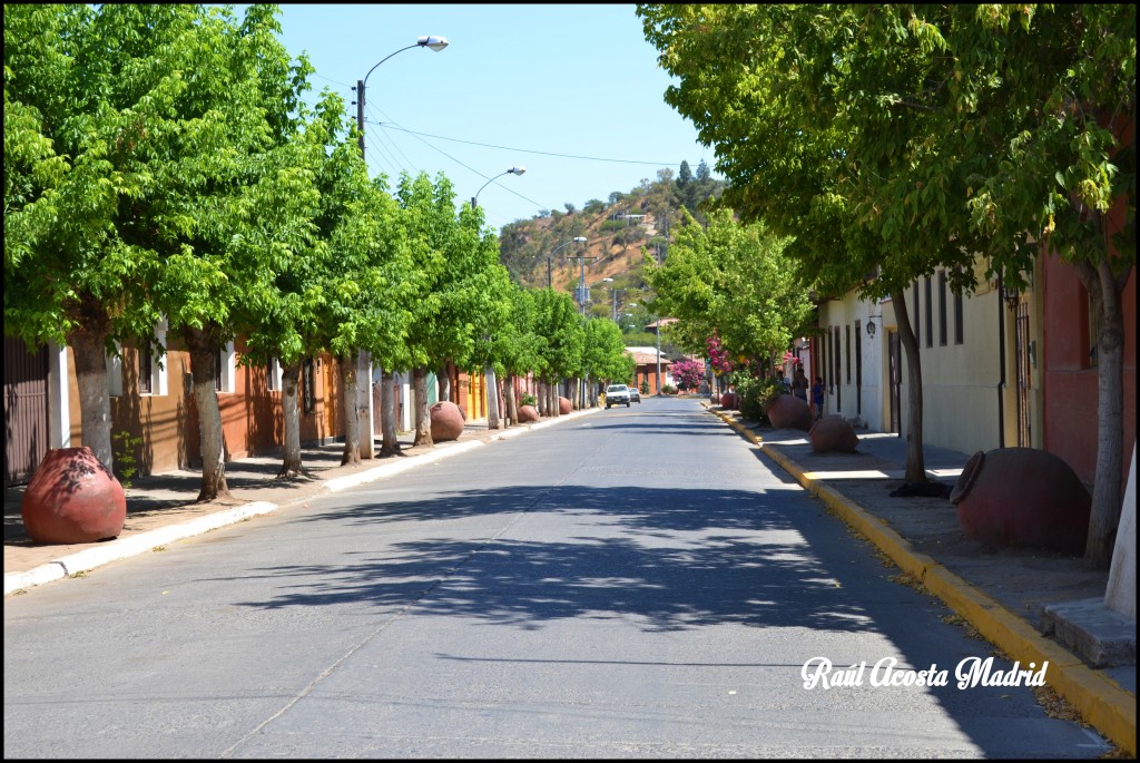 Foto de Malloa (Libertador General Bernardo OʼHiggins), Chile