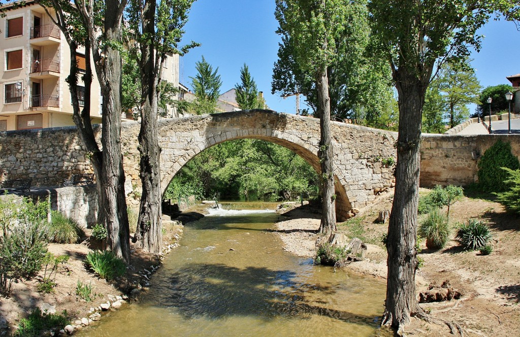 Foto: Puente medieval - Aranda de Duero (Burgos), España