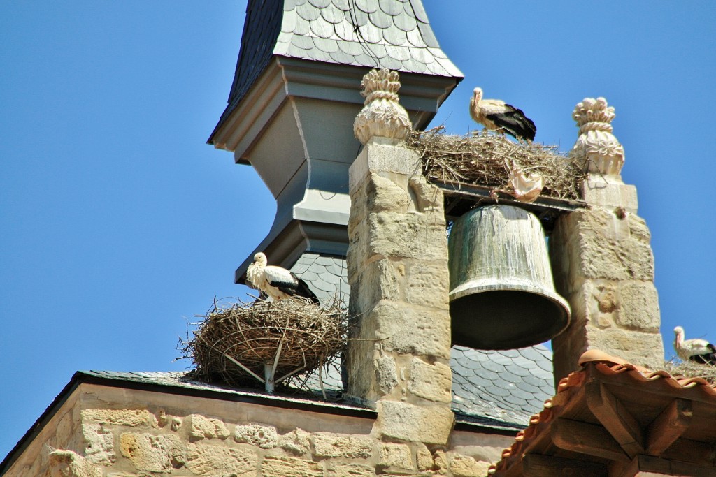 Foto: Cigüeñas - Aranda de Duero (Burgos), España