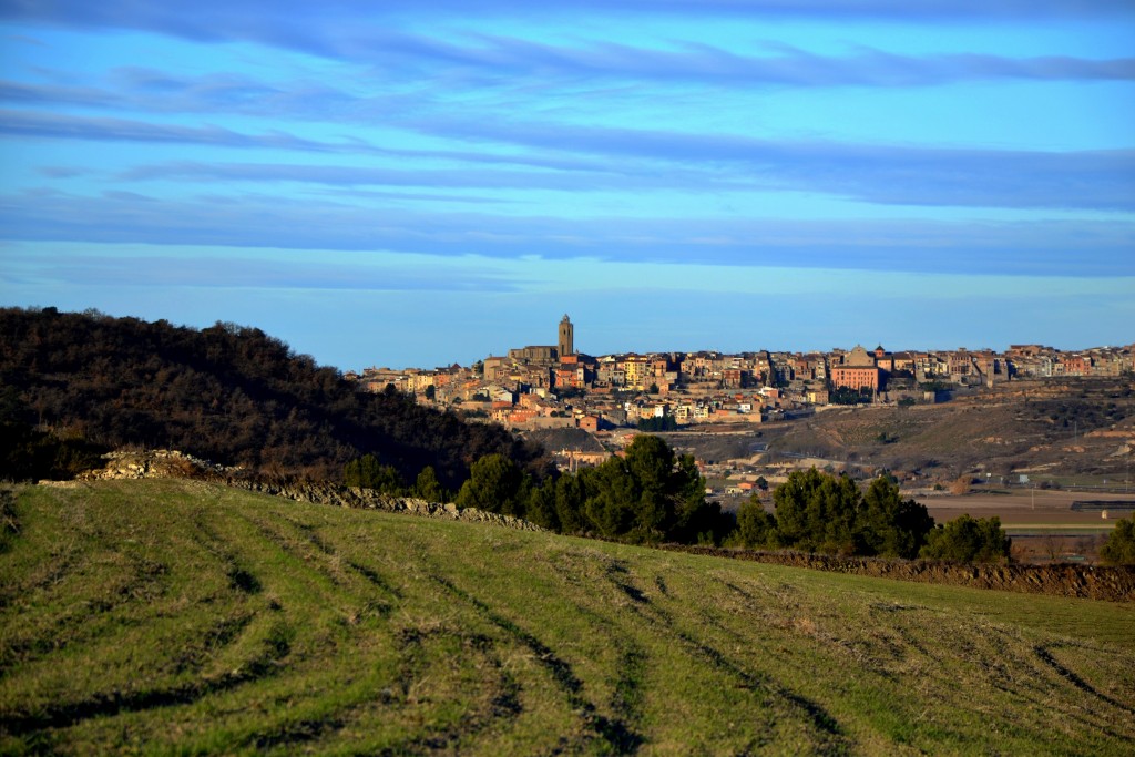 Foto: Panoramica de la Segarra. - Cervera (Lleida), España