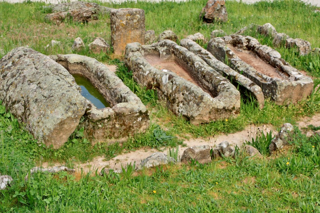 Foto: Tumbas - Salas de los Infantes (Burgos), España