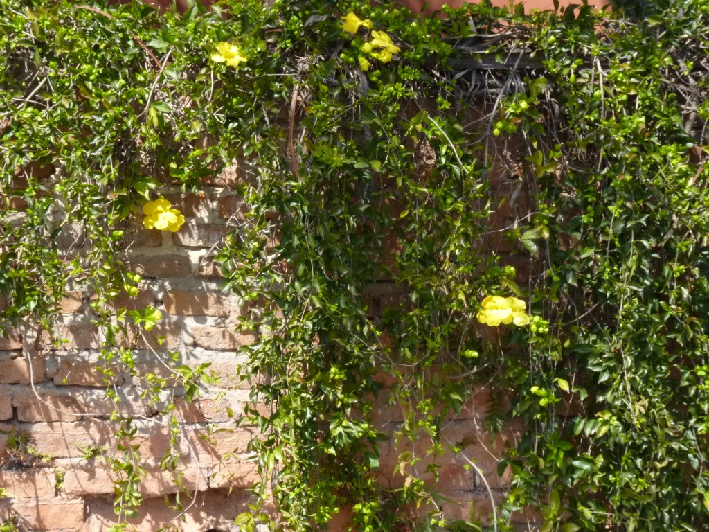 Foto: Paseo de la costanera - La Paz (Entre Ríos), Argentina