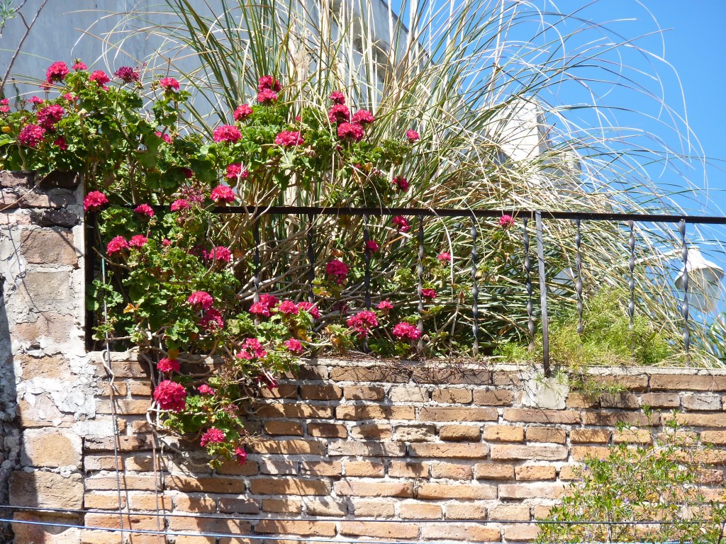 Foto: Paseo de la costanera - La Paz (Entre Ríos), Argentina