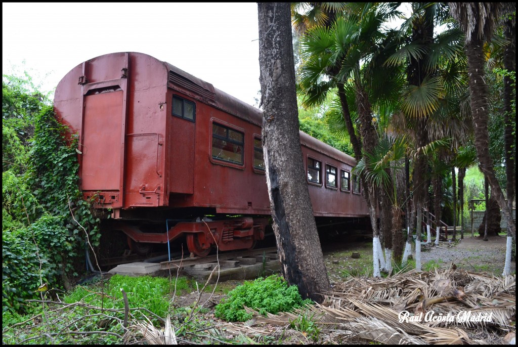 Foto de Quinta de Tilcoco (Libertador General Bernardo OʼHiggins), Chile
