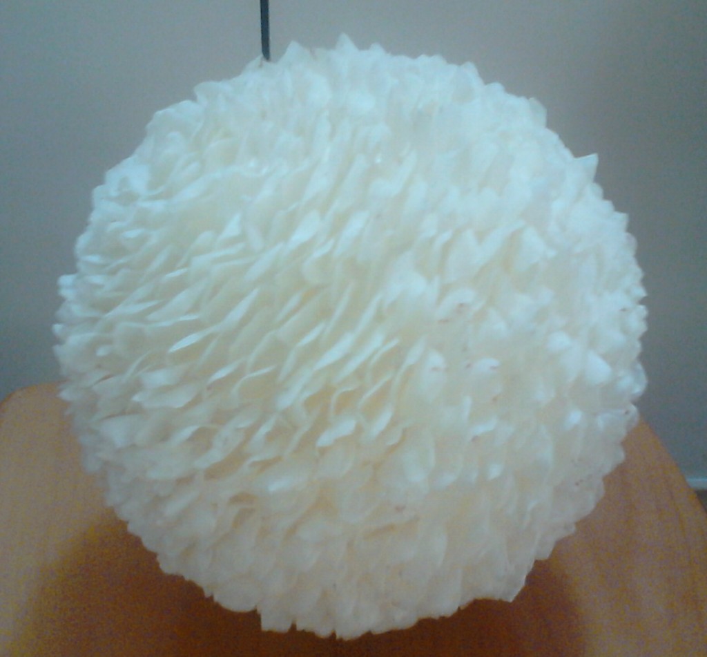 Foto de México, México