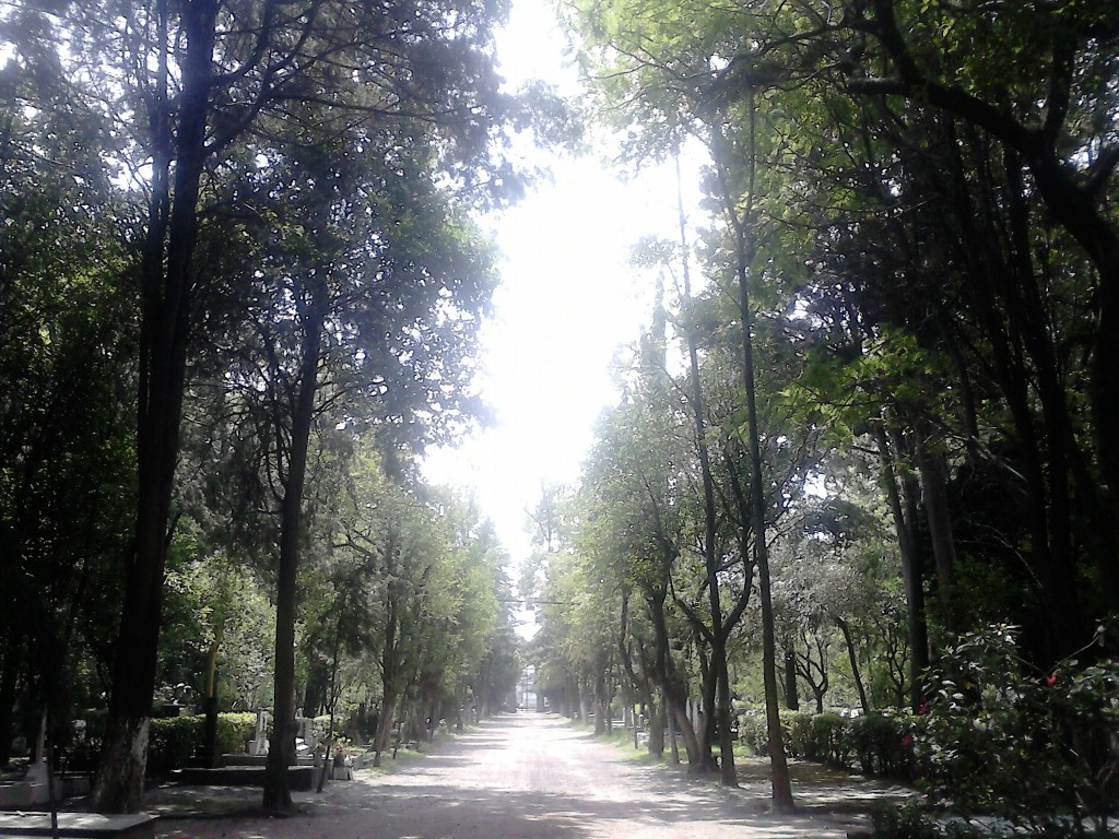 Foto de México, México