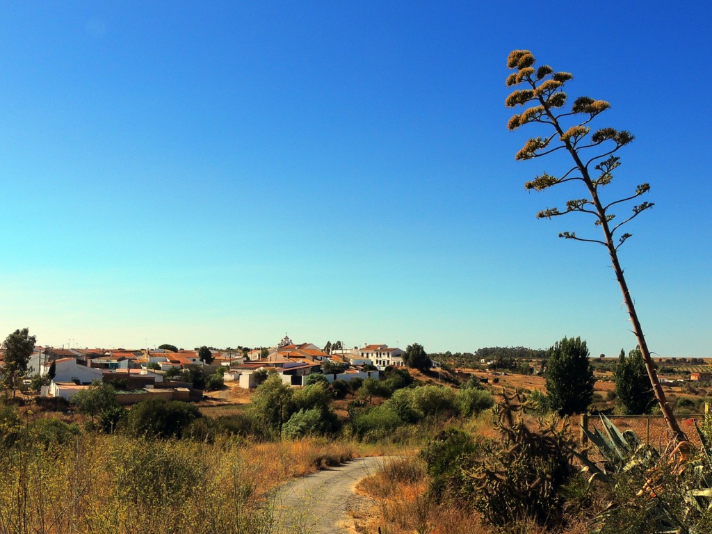 Foto de Candón (Huelva), España