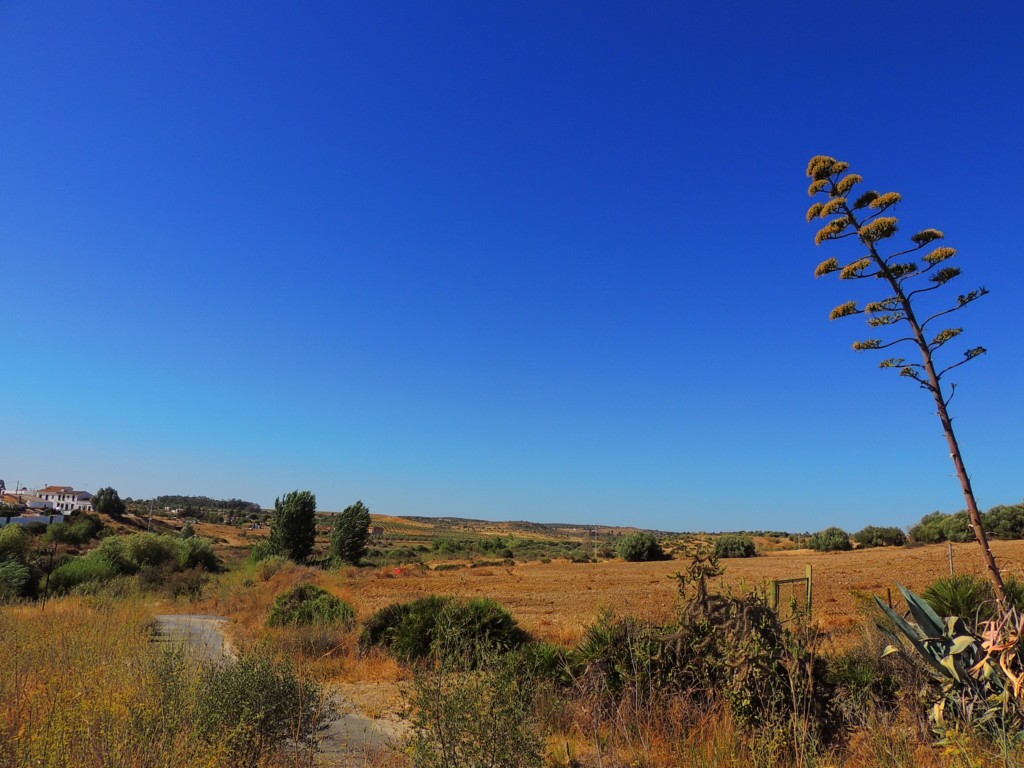 Foto de Candón (Huelva), España