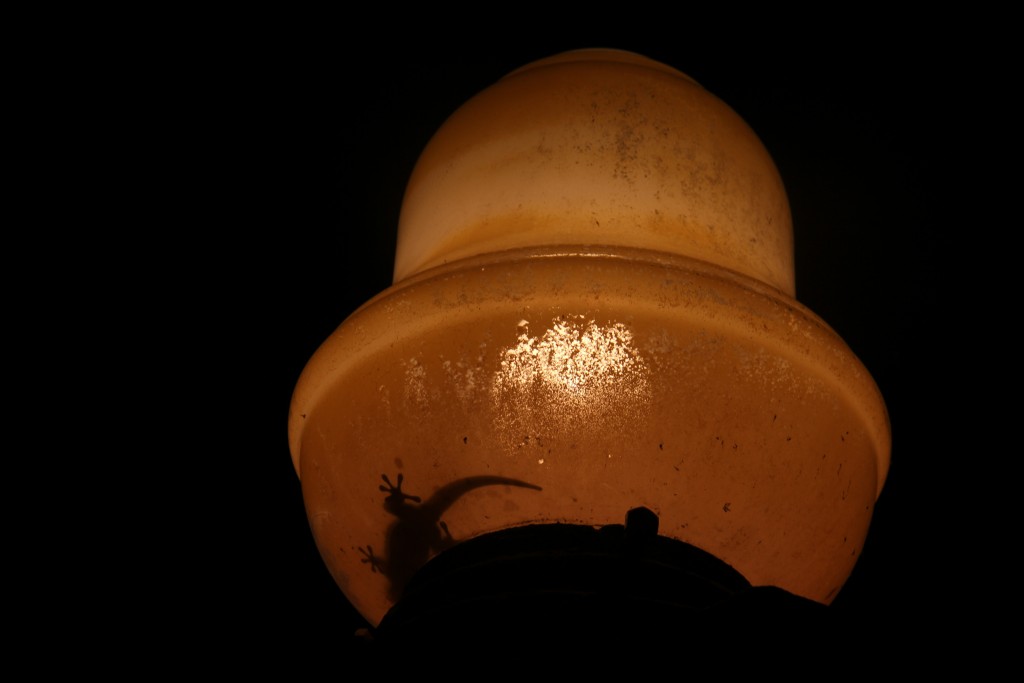 Foto de Cádiz (Andalucía), España