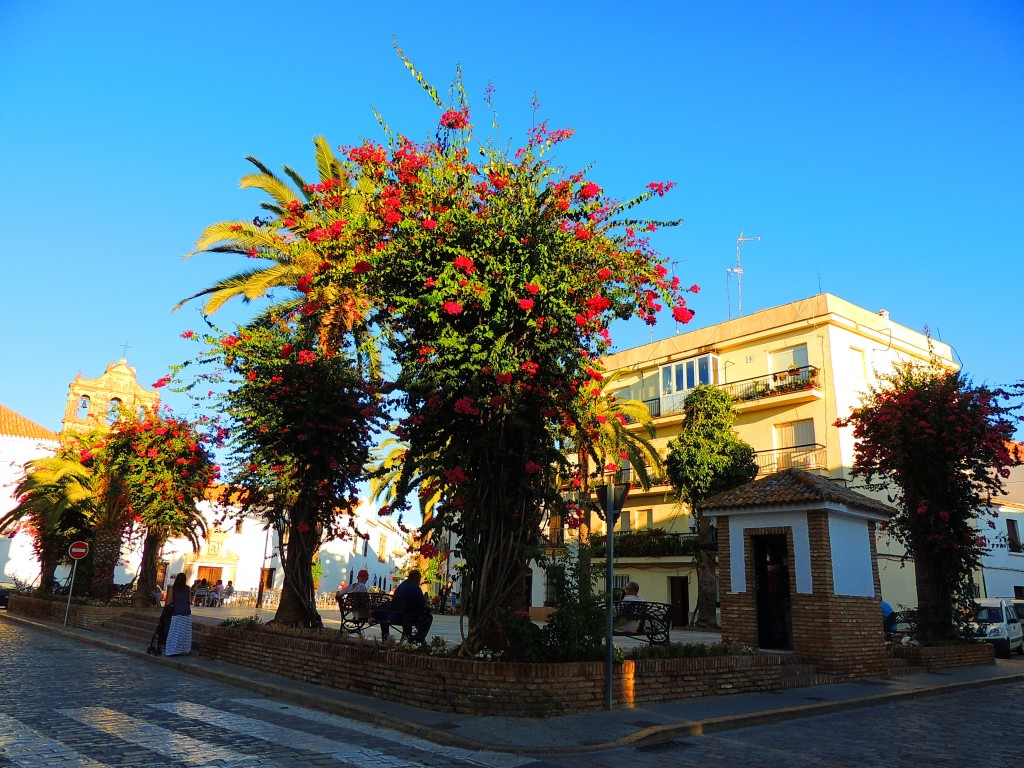 Foto de Parque El Mato en Trigueros, Huelva