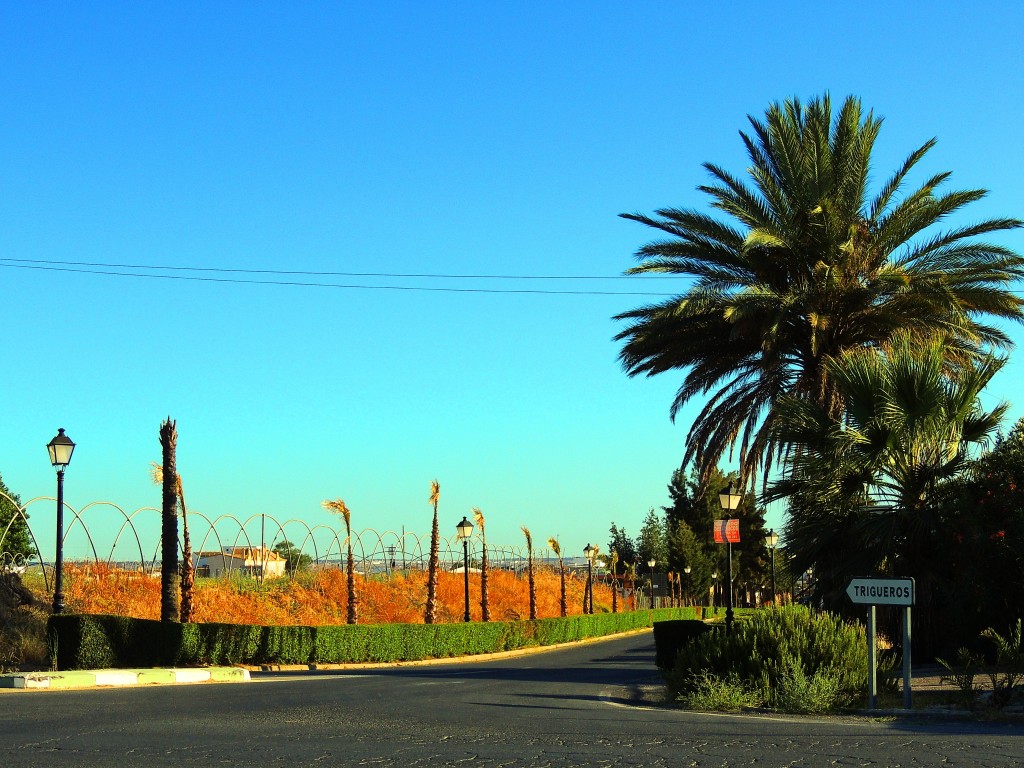 Foto de Trigueros (Huelva), España