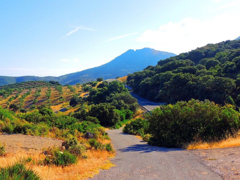 Foto de Pruna (Sevilla), España