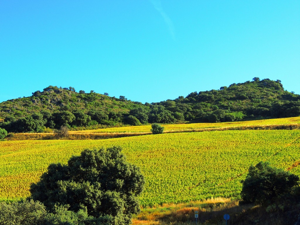 Foto de Pruna (Sevilla), España