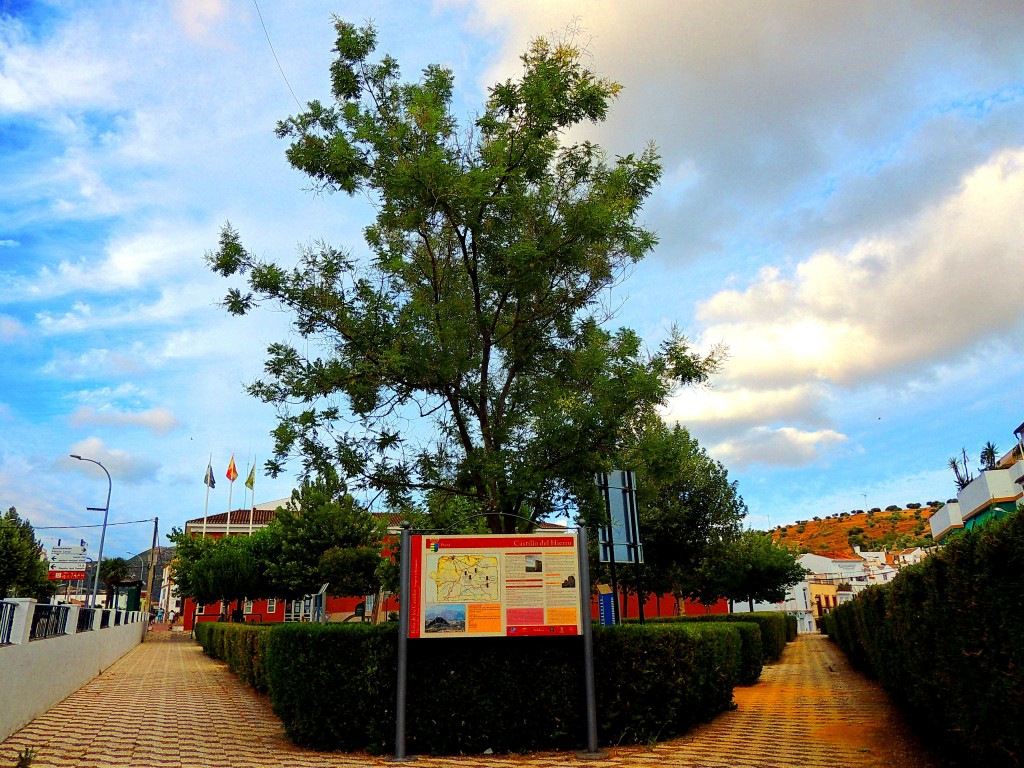 Foto de Pruna (Sevilla), España