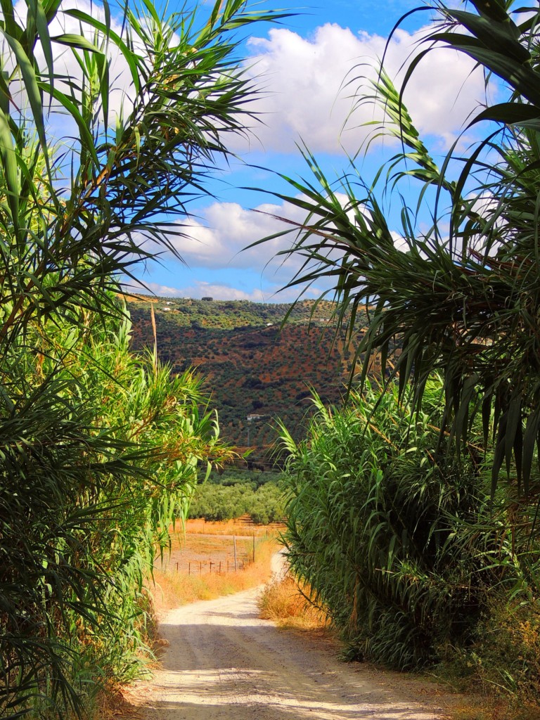 Foto de Pruna (Sevilla), España
