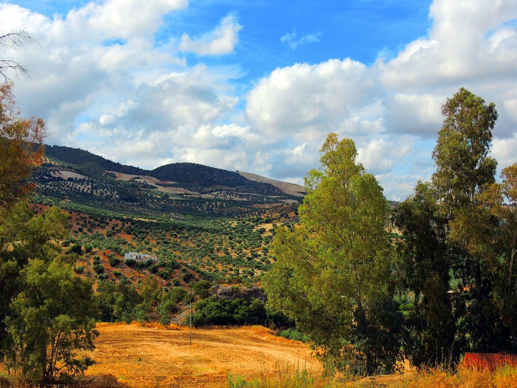 Foto de Pruna (Sevilla), España