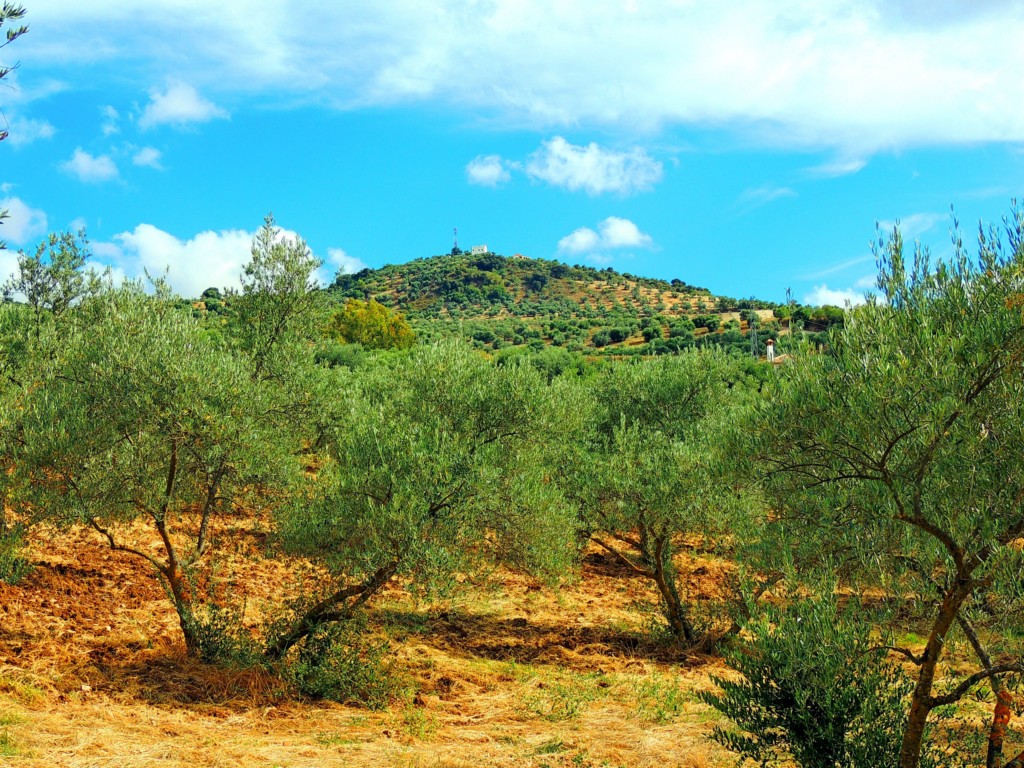 Foto de Pruna (Sevilla), España