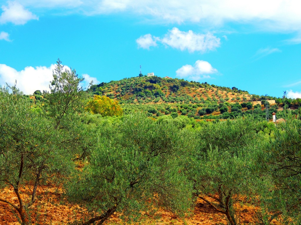 Foto de Pruna (Sevilla), España