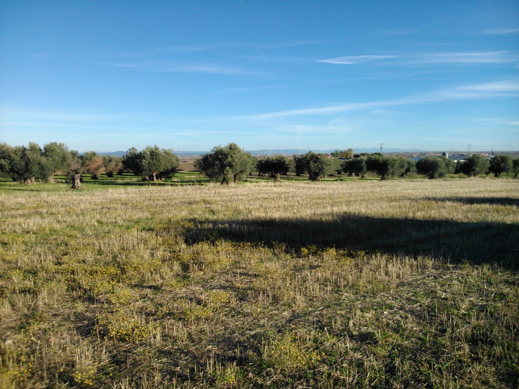 Foto de Portillo de Toledo (Toledo), España