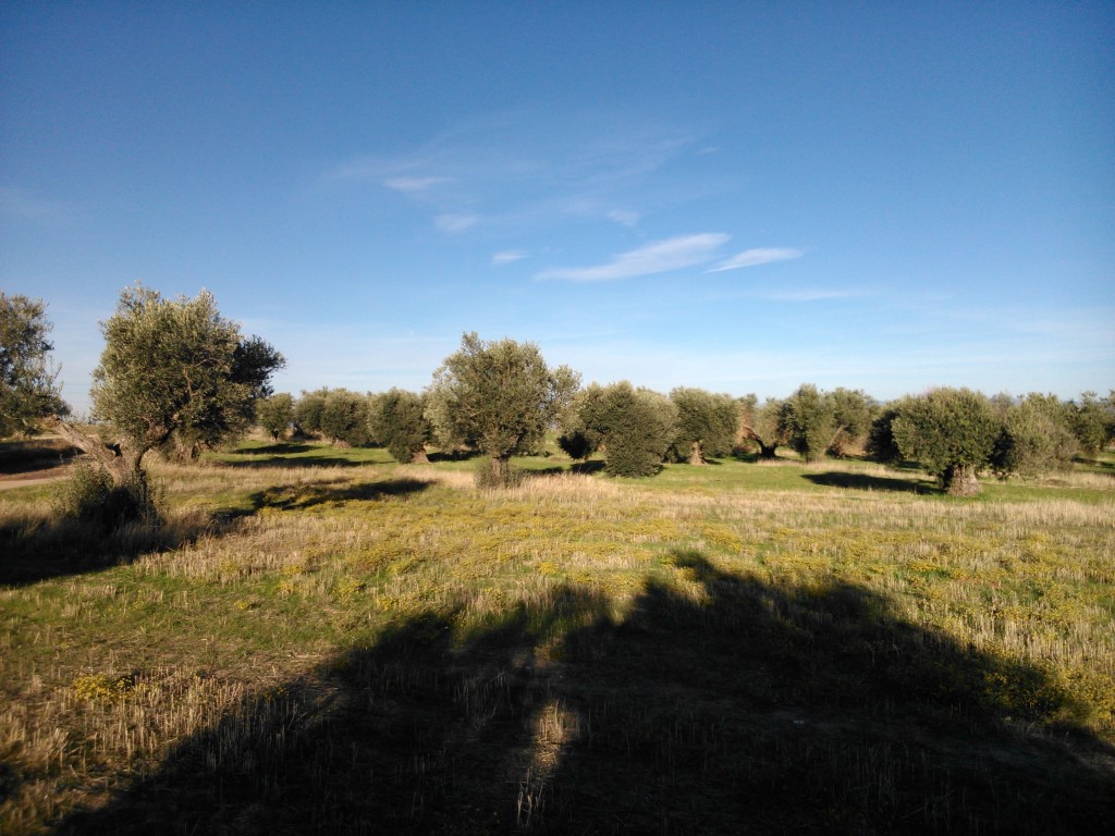 Foto de Portillo de Toledo (Toledo), España