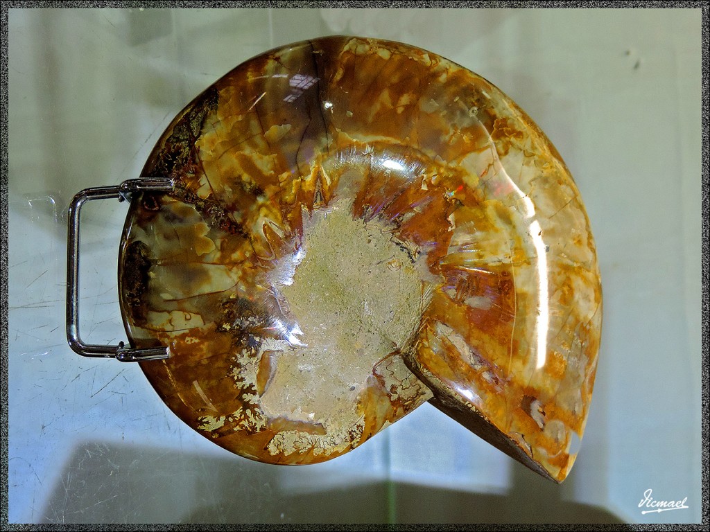 Foto: 141021-111 GRUTA BETHARRAN - Lourdes (Midi-Pyrénées), Francia