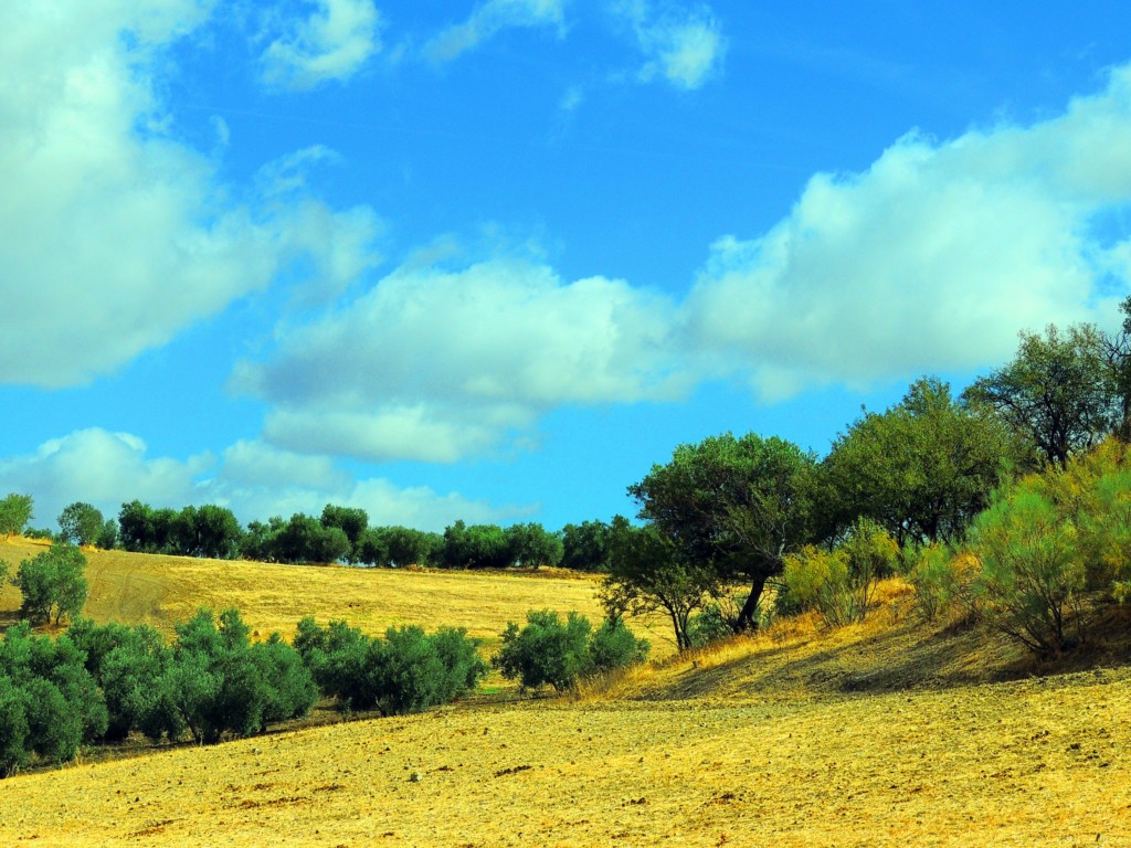 Foto de Algámitas (Sevilla), España