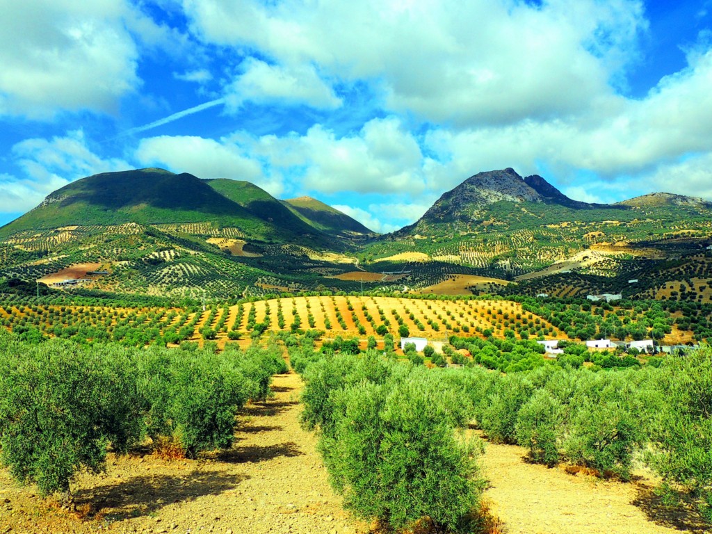 Foto de Algámitas (Sevilla), España