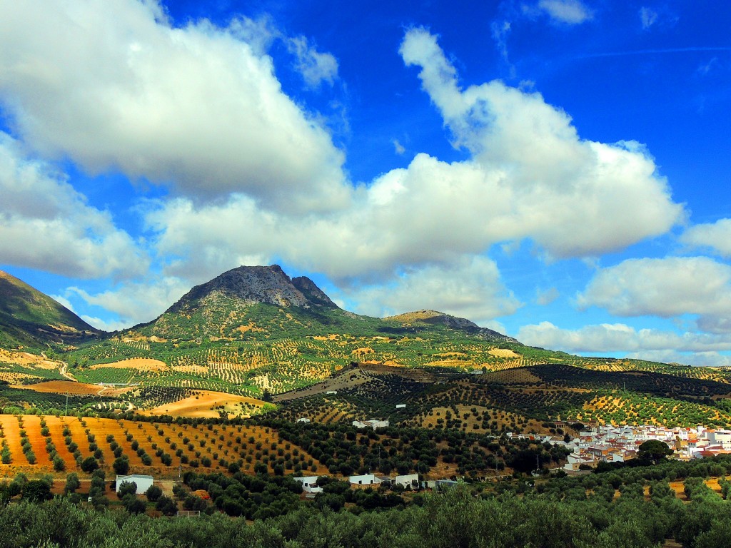 Foto de Algámitas (Sevilla), España