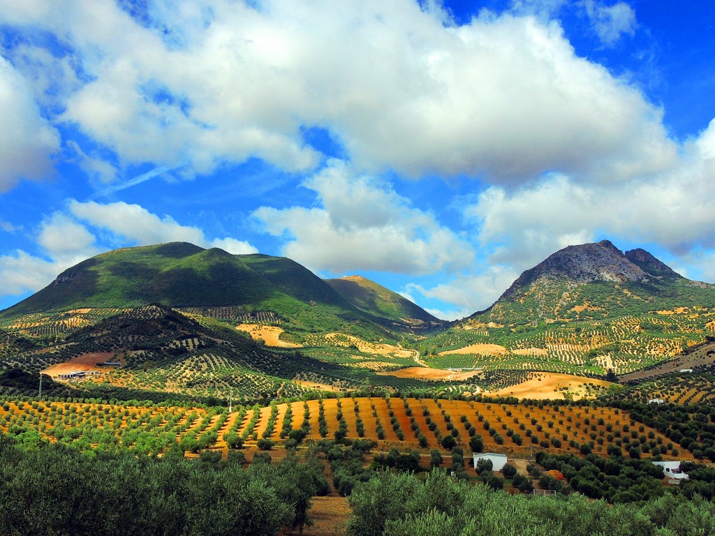Foto de Algámitas (Sevilla), España