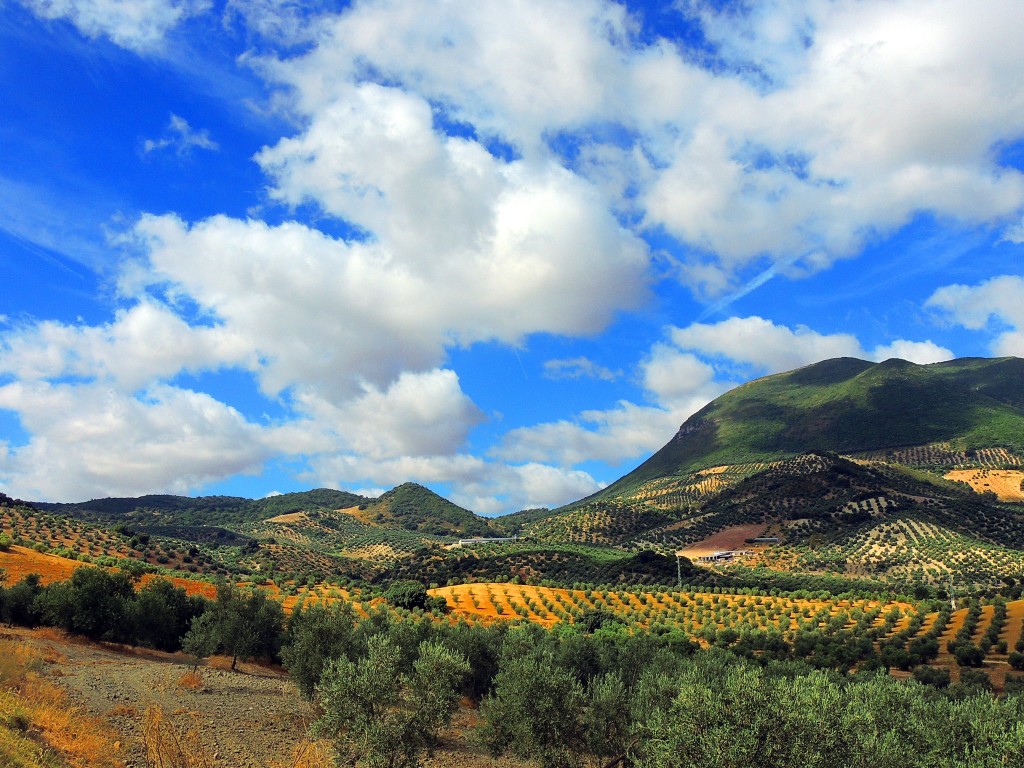 Foto de Algámitas (Sevilla), España