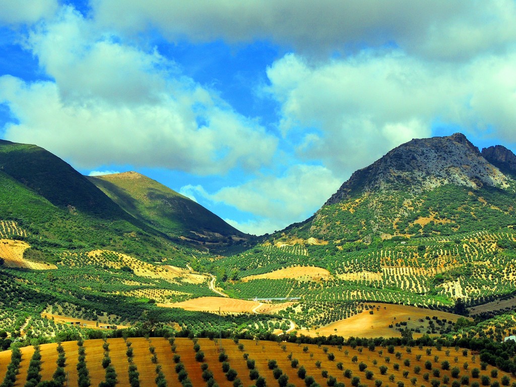 Foto de Algámitas (Sevilla), España