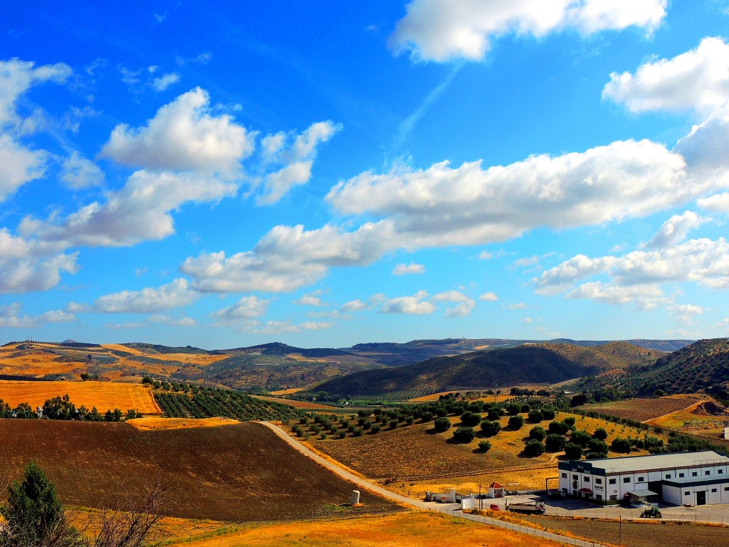 Foto de Algámitas (Sevilla), España