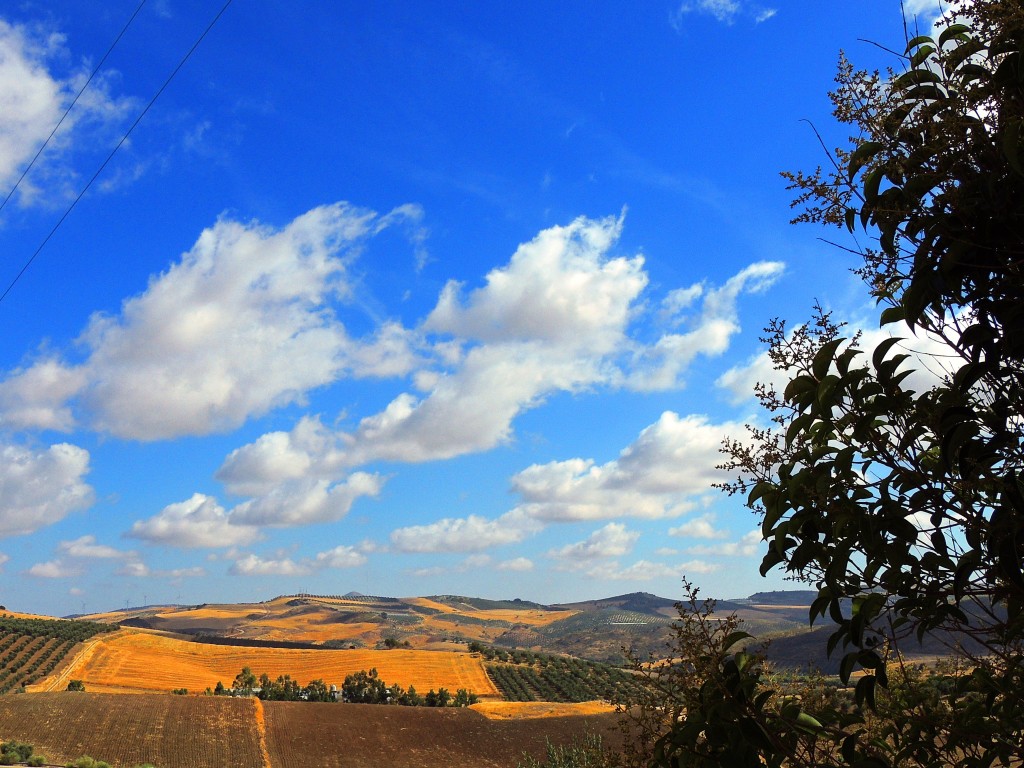 Foto de Algámitas (Sevilla), España