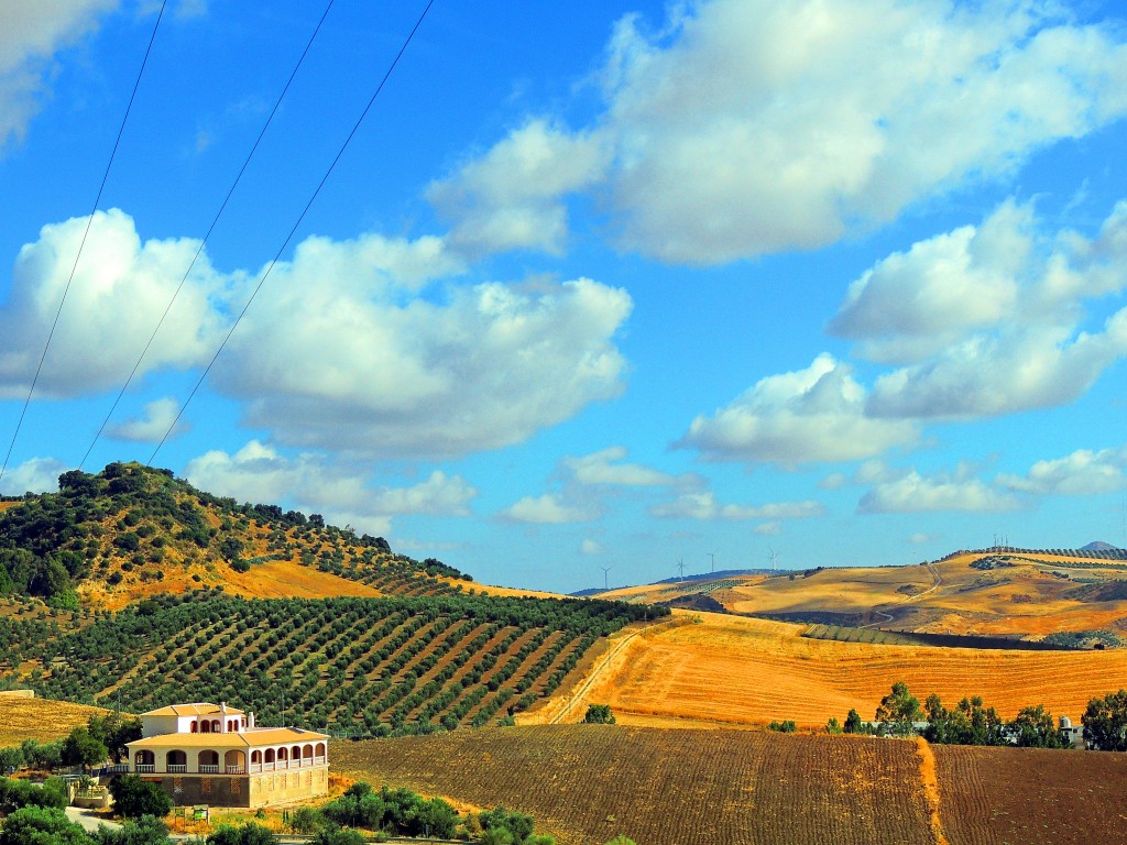 Foto de Algámitas (Sevilla), España