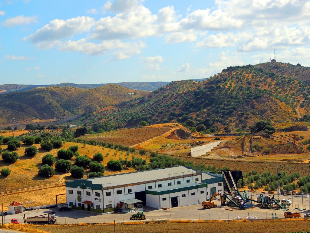 Foto de Algámitas (Sevilla), España