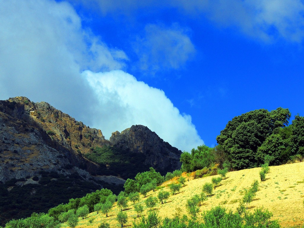 Foto de Algámitas (Sevilla), España