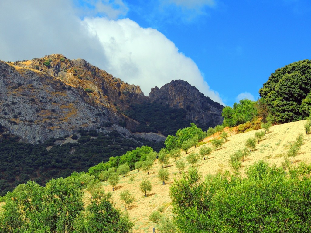 Foto de Algámitas (Sevilla), España
